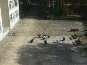 IMG_2223
